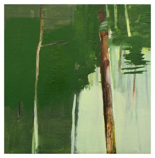 South River State Forest 3